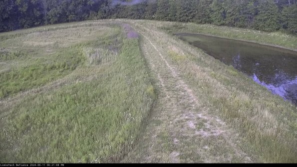 Cell 4 to Basin_24-06-11_18-21-09-32