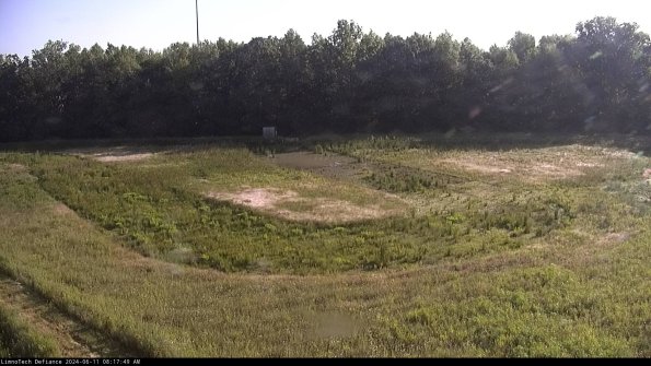 Cell 4_24-06-11_08-17-50-34