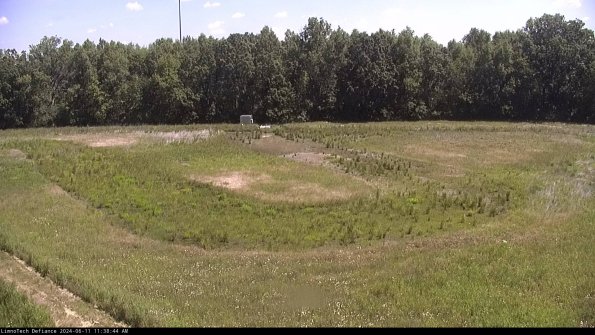 Cell 4_24-06-11_11-38-45-36