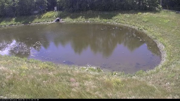 Basin Right_24-06-12_11-40-16-30