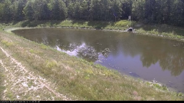 Basin_24-06-12_11-39-45-57