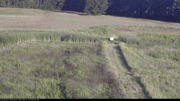 Cell 1 to 2_24-06-12_07-09-57-34