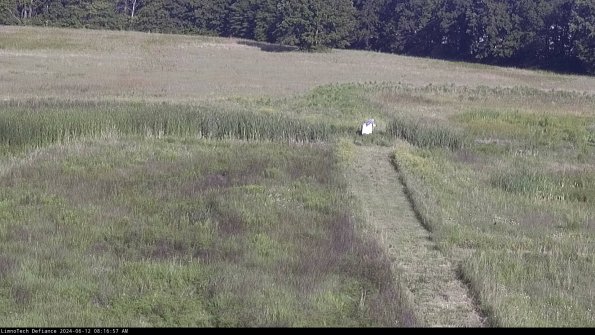 Cell 1 to 2_24-06-12_08-16-58-34