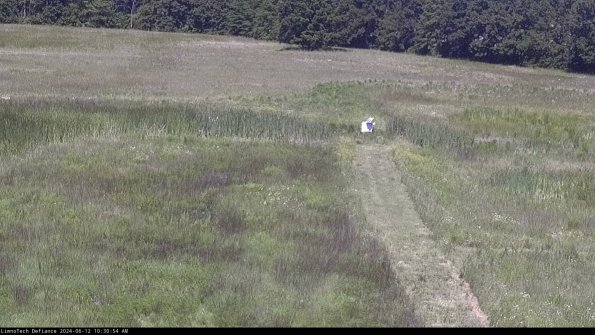 Cell 1 to 2_24-06-12_10-30-55-32