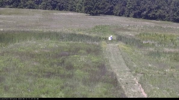 Cell 1 to 2_24-06-12_11-37-54-33