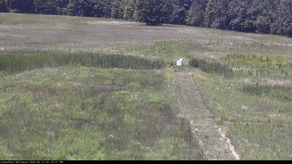 Cell 1 to 2_24-06-12_13-18-22-35