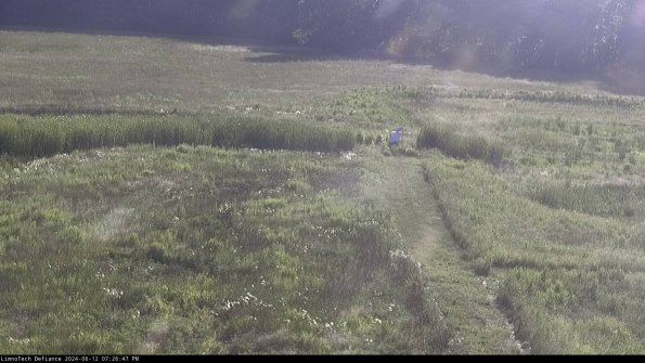 Cell 1 to 2_24-06-12_19-26-48-32