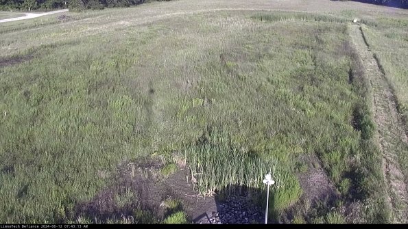 Cell 1_24-06-12_07-43-14-34