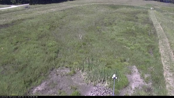 Cell 1_24-06-12_10-30-41-34