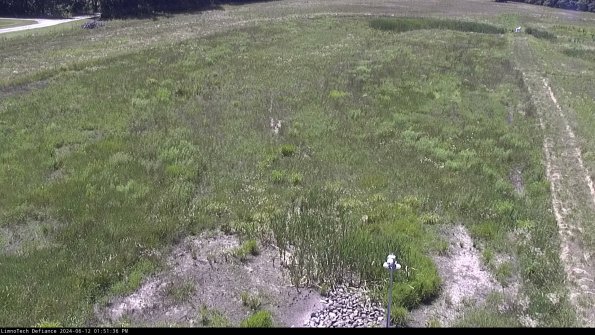 Cell 1_24-06-12_13-51-37-32