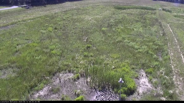 Cell 1_24-06-12_16-05-36-33