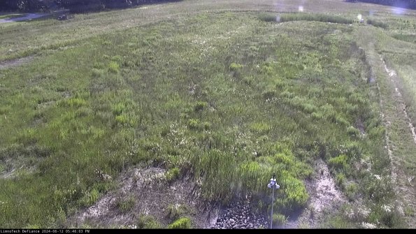 Cell 1_24-06-12_17-46-04-32