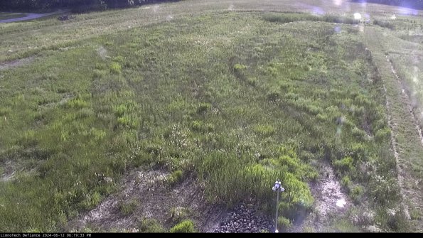 Cell 1_24-06-12_18-19-34-34