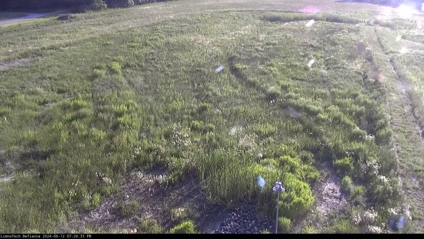 Cell 1_24-06-12_19-26-34-34