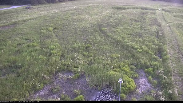 Cell 1_24-06-12_20-33-32-34