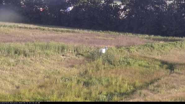 Cell 2 to 3_24-06-12_07-10-23-46