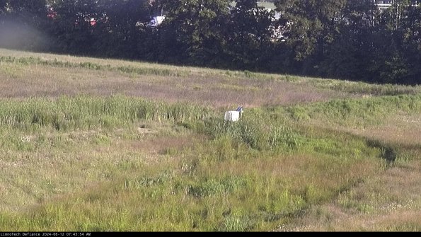 Cell 2 to 3_24-06-12_07-43-54-48