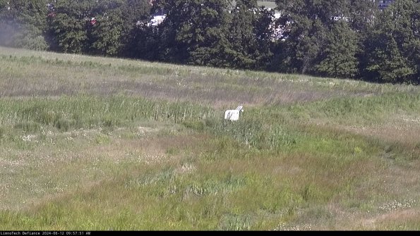 Cell 2 to 3_24-06-12_09-57-52-40