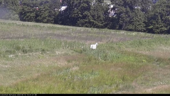 Cell 2 to 3_24-06-12_10-31-21-51