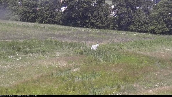 Cell 2 to 3_24-06-12_12-11-50-41