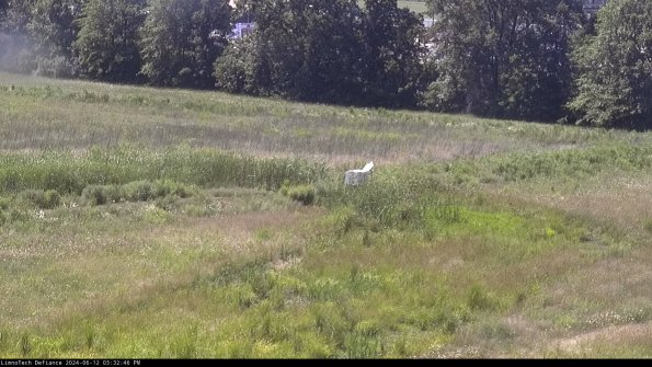 Cell 2 to 3_24-06-12_15-32-46-49