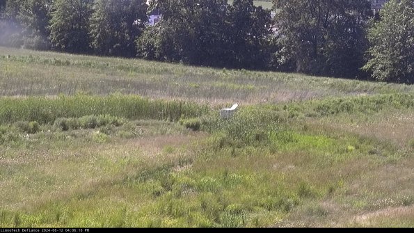 Cell 2 to 3_24-06-12_16-06-16-44