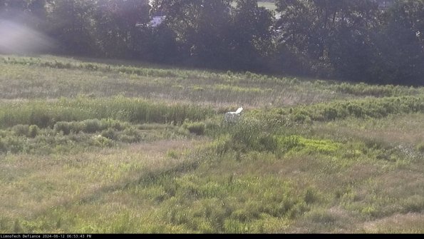 Cell 2 to 3_24-06-12_18-53-43-49