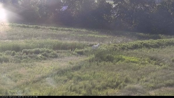 Cell 2 to 3_24-06-12_19-27-14-48