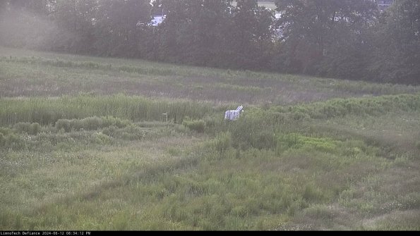 Cell 2 to 3_24-06-12_20-34-12-45