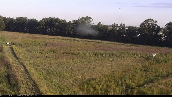 Cell 2_24-06-12_07-10-10-38