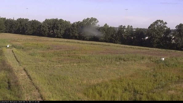 Cell 2_24-06-12_08-17-11-36