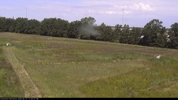 Cell 2_24-06-12_11-04-38-36