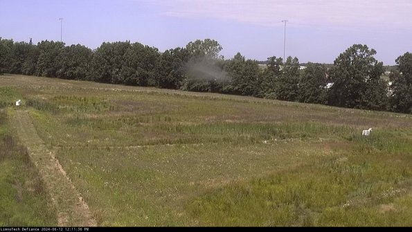 Cell 2_24-06-12_12-11-37-36