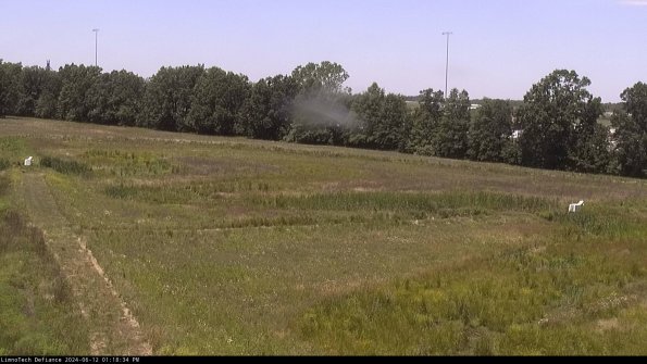 Cell 2_24-06-12_13-18-35-37