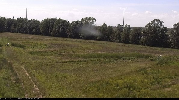 Cell 2_24-06-12_16-06-03-36