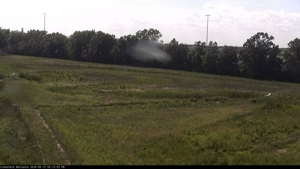 Cell 2_24-06-12_17-13-03-33