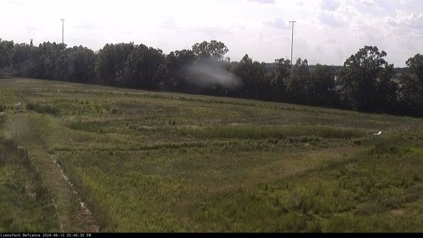 Cell 2_24-06-12_17-46-31-38