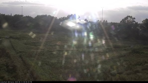 Cell 2_24-06-12_20-00-30-42