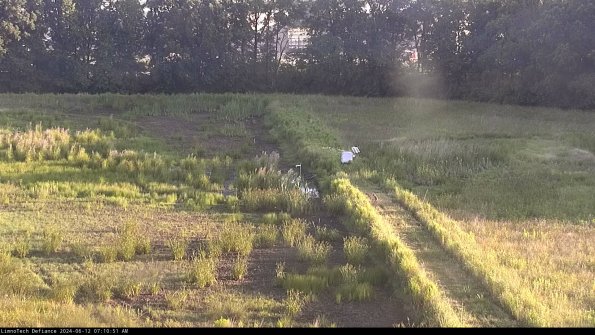 Cell 3 to 4_24-06-12_07-10-52-32