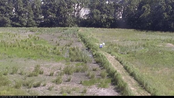 Cell 3 to 4_24-06-12_10-31-50-34