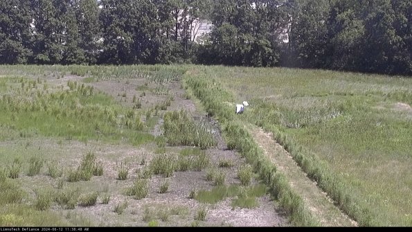 Cell 3 to 4_24-06-12_11-38-49-35