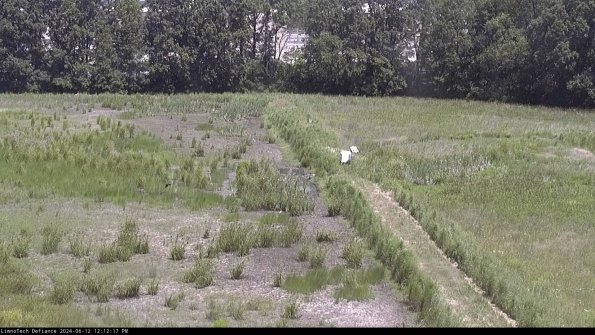 Cell 3 to 4_24-06-12_12-12-18-34