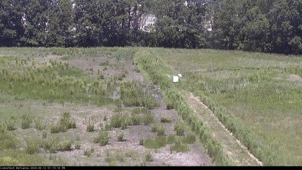 Cell 3 to 4_24-06-12_13-19-17-34