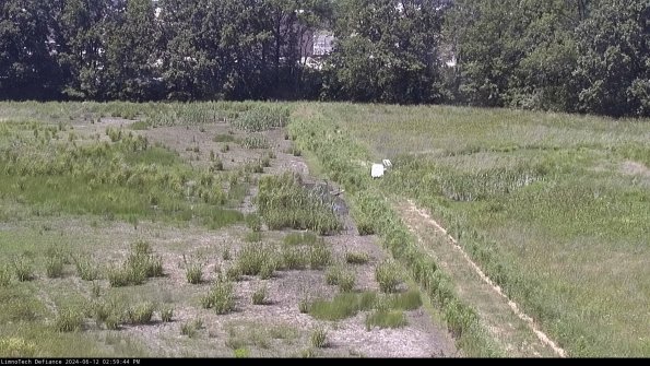 Cell 3 to 4_24-06-12_14-59-45-33