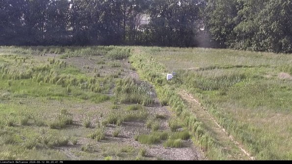 Cell 3 to 4_24-06-12_18-20-42-30