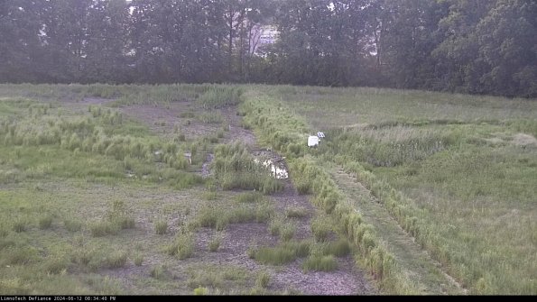 Cell 3 to 4_24-06-12_20-34-41-35