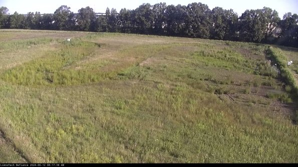 Cell 3_24-06-12_08-17-39-35