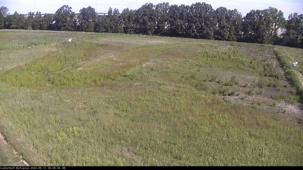 Cell 3_24-06-12_09-58-07-35