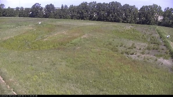 Cell 3_24-06-12_11-05-05-55