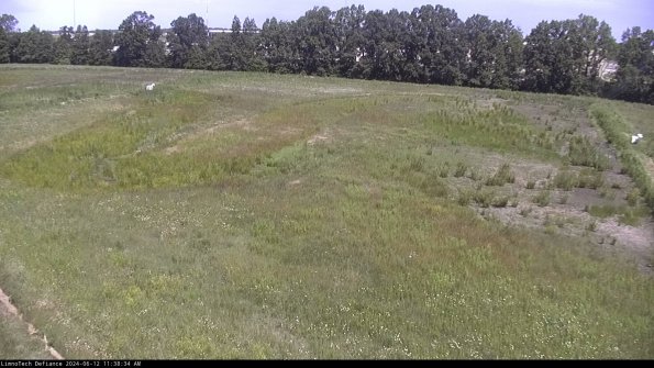 Cell 3_24-06-12_11-38-35-34